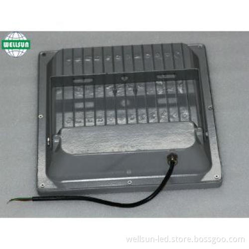 50W IP66 high output LED lamp long lifespan